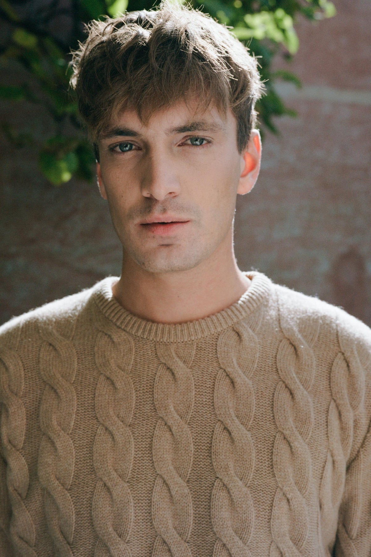 Maglione a trecce Anemone Cammello